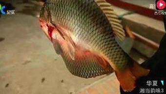 黄晓明娱乐吃瓜事件回顾：真相与网友热议逐步揭晓